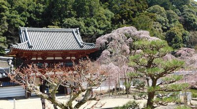 ⛩️ 나가노 신사(나가노 에비스) 이미지 9